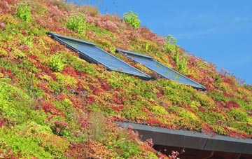 Georgia living roof systems