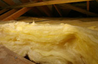 Georgia pitch roof insulation